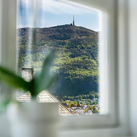 Panoramic & Garden *